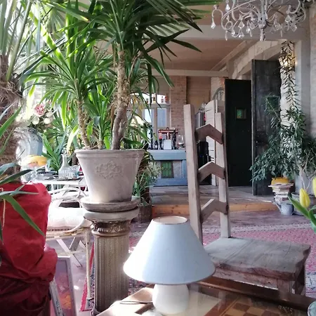 בית הארחה Terrasse קושיצה